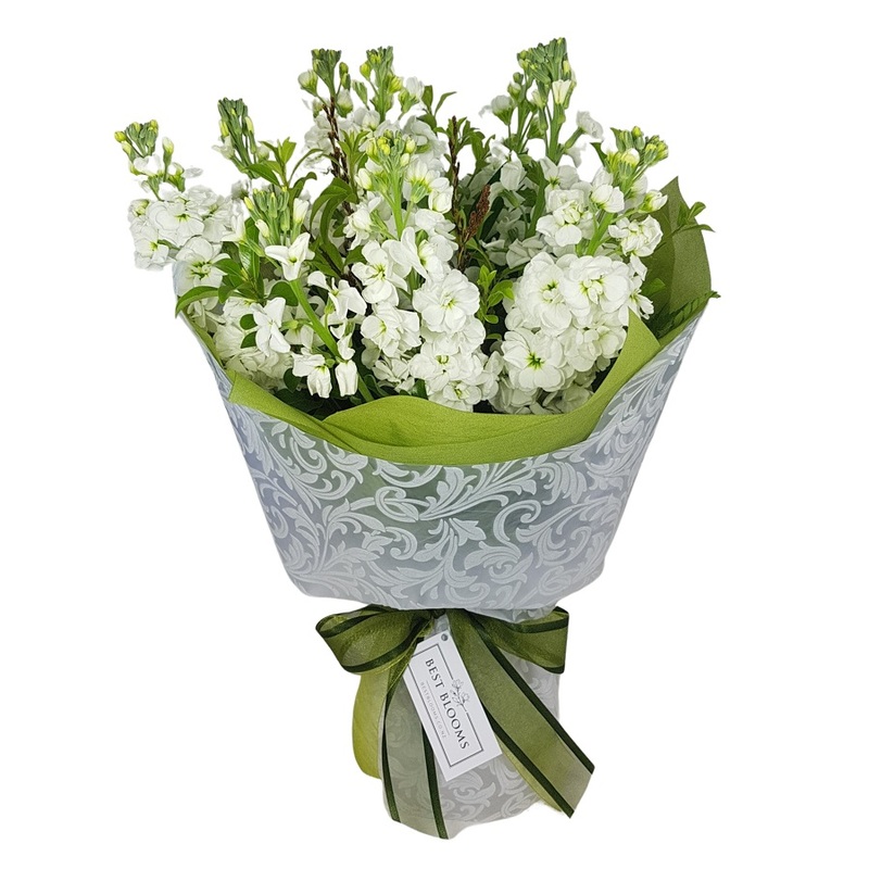 Standard Fragrant Stock Bouquet