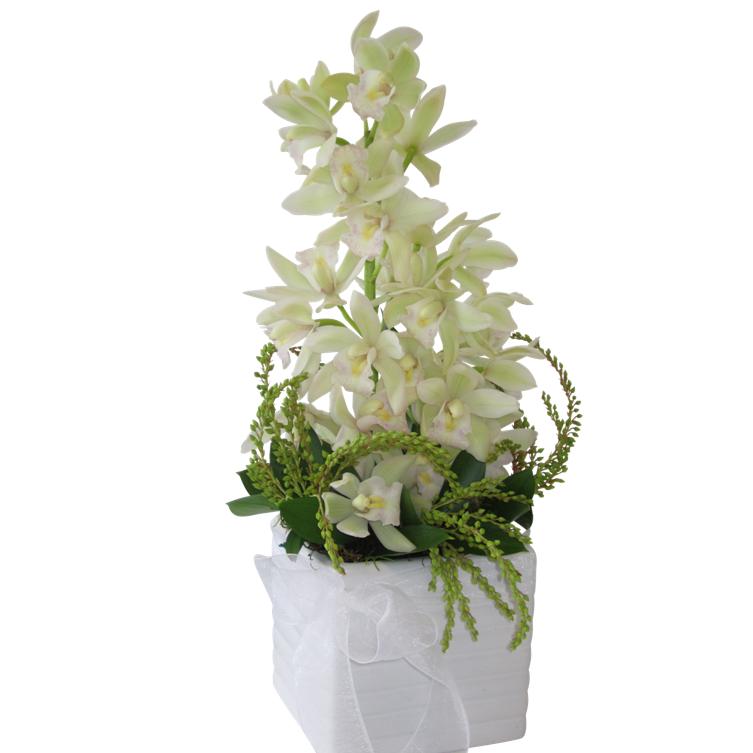 Standard Elegant Orchid Flower Arrangement in Ceramic Pot