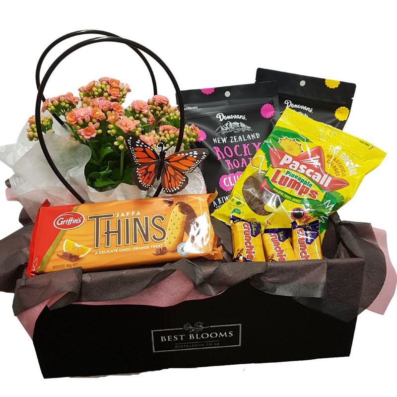 Standard Flowering Plant and Chocolates Gift Basket