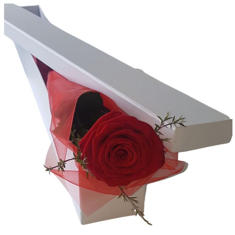 Standard Single Red Rose in a Gift Box