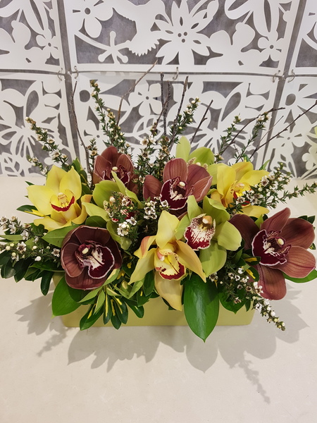 Testimonial for Orchid Garden in Ceramic Trough