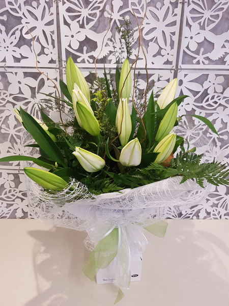 Testimonial for Classic Elegance