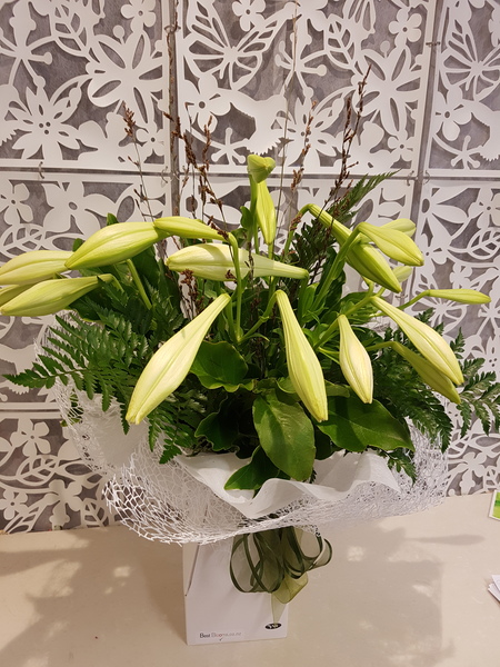 Testimonial for Christmas Lilies