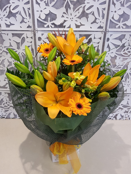 Testimonial for Seasonal Choice Wrap