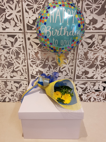 Testimonial for Balloon in a Box
