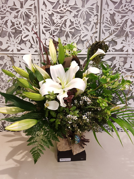 Testimonial for Kiwiana Lillies