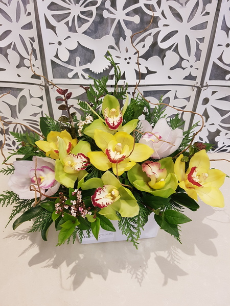Testimonial for Orchid Garden in Ceramic Trough