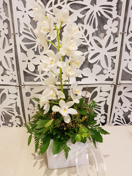 Testimonial for Elegant Orchid Arrangement in Ceramic Pot