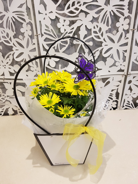 Testimonial for Gift Wrapped Chrysanthemum Plant