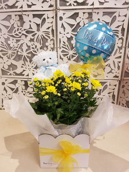 Testimonial for Baby Plant Gift Basket