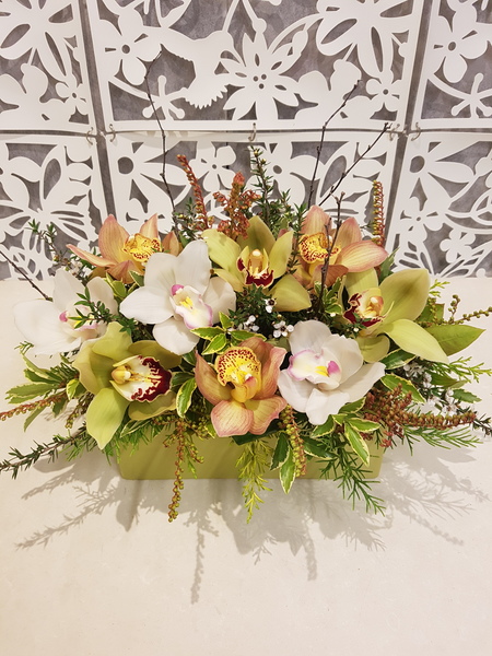Testimonial for Orchid Garden in Ceramic Trough
