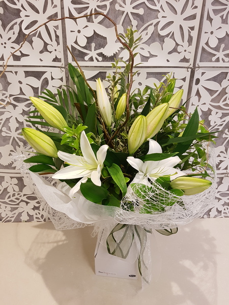 Testimonial for Classic Elegance