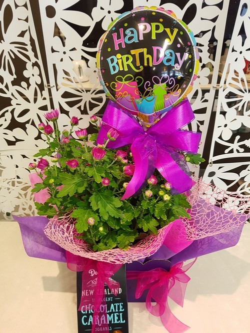 Testimonial for Plant Basket with Balloon and Chocolates