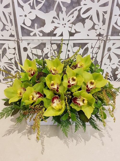 Testimonial for Orchid Garden in Ceramic Trough