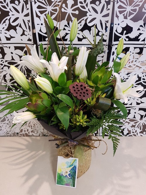 Testimonial for Kiwiana Lillies