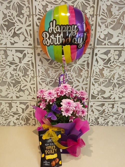 Testimonial for Gift Wrapped Chrysanthemum Plant
