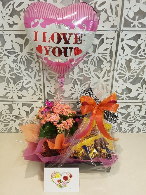 Testimonial for Kalanchoe and Chocolates Gift Basket