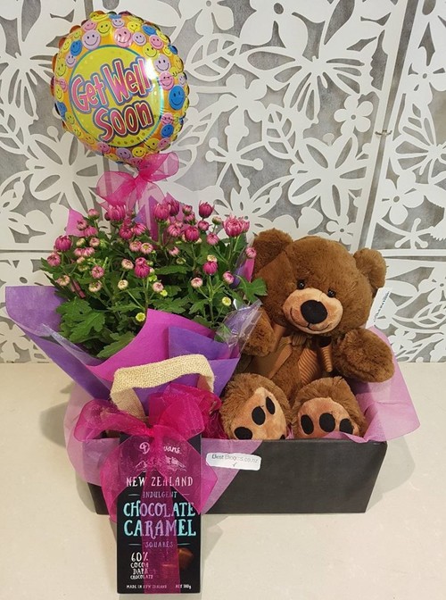 Testimonial for Plant Basket with Balloon and Chocolates