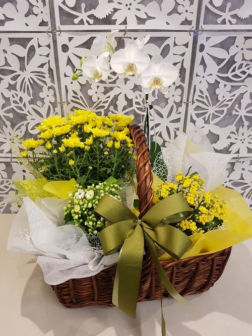 Testimonial for Deluxe Planter Basket
