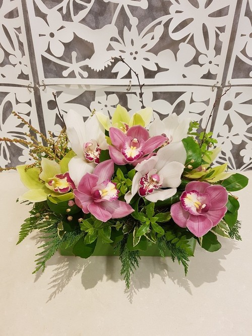 Testimonial for Orchid Garden in Ceramic Trough