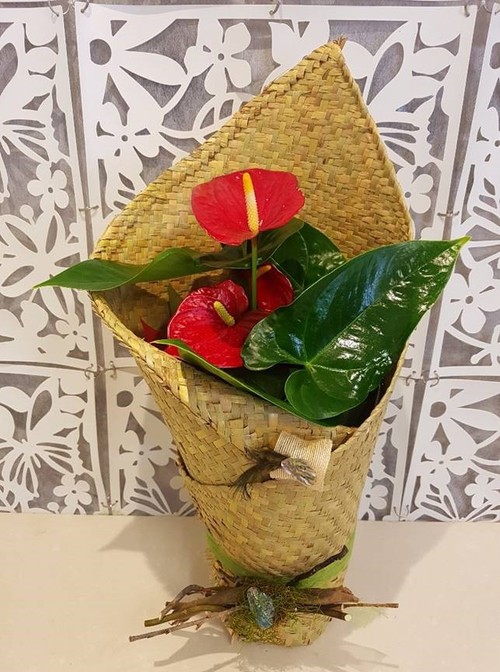 Testimonial for Tropical Plant in Kete Wrap