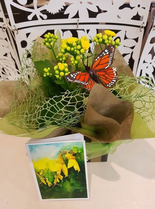 Testimonial for Kalanchoe Plant with Butterfly