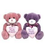 Cute Mother's Day Teddy Bear