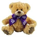 Get Well Soon Teddy Bear 19cm