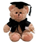 Graduation Teddy Bear 25cm