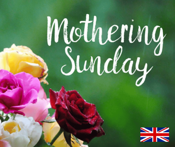 Mothering Sunday 2026 Flowers – Send to Auckland from UK | Best Blooms