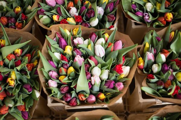 Six tips for successful flower delivery across Auckland suburbs in New Zealand