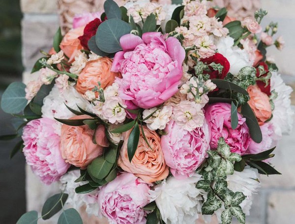 BLOG POST - All about Peonies | Peony Facts and Info | Best Blooms Florist Auckland NZ