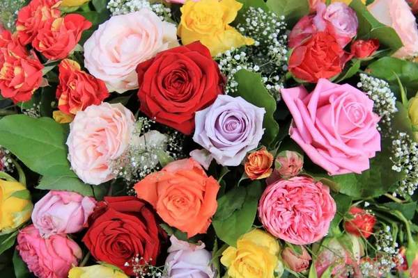 History of roses and their significance