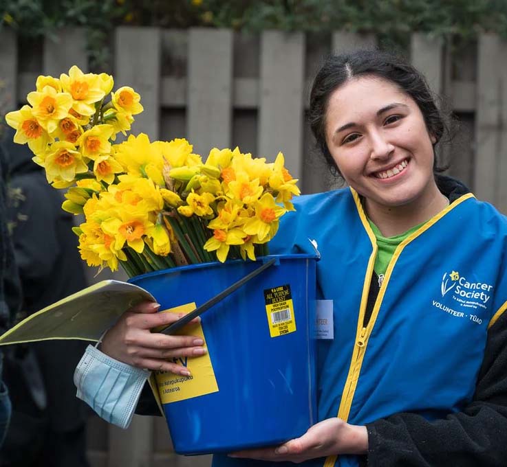 daffodils for daffodil day auckland