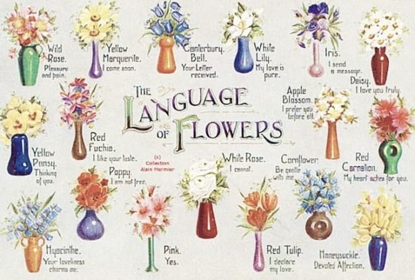 flower types and meanings