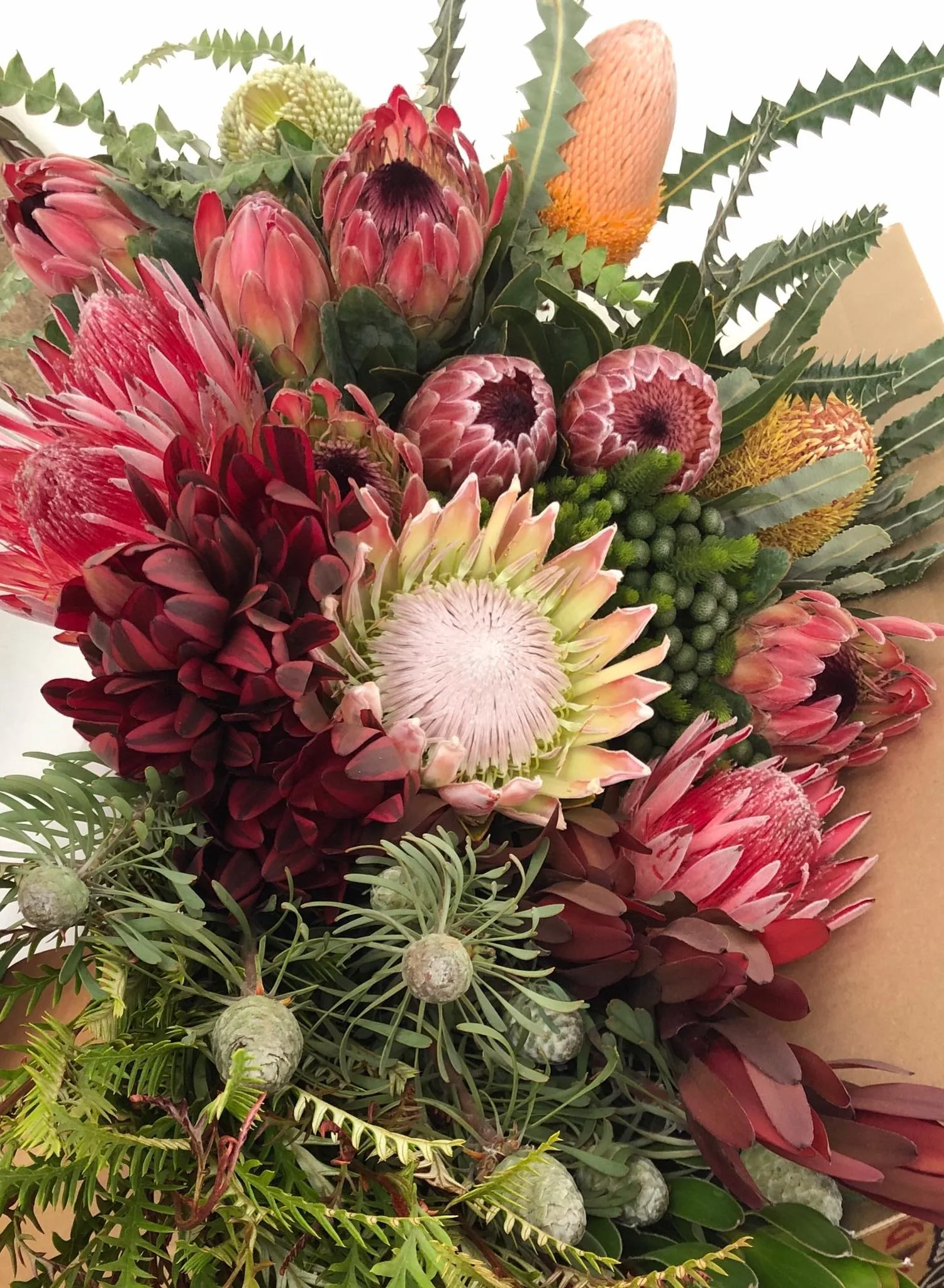 Protea Flowers and Textural Winter Blooms: A Florist Guide Protea Flowers come in a wide assortment of varieties and colours