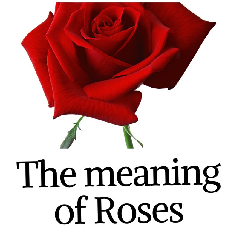 The Meaning of Roses: Symbolism of Rose Colour | Best Blooms Florist