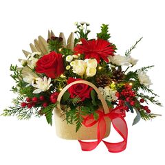 Christmas flowers Auckland – red and white festive arrangement
