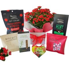 House Plants Gift Boxes delivered in Auckland NZ