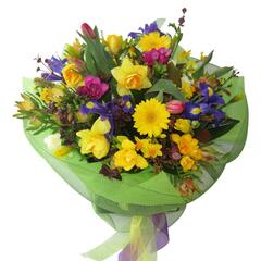 Cheerful Spring Bouquet of Blue Iris, Yellow Daffodils, Tulips and Freesias