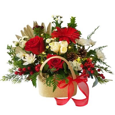 Christmas flowers Auckland – red and white festive arrangement