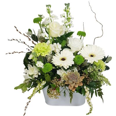 White flower arrangement delivery Auckland NZ