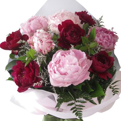 Best Blooms Peonies