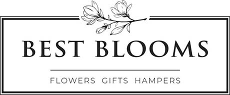 Best Blooms Flowers Gifts Hampers