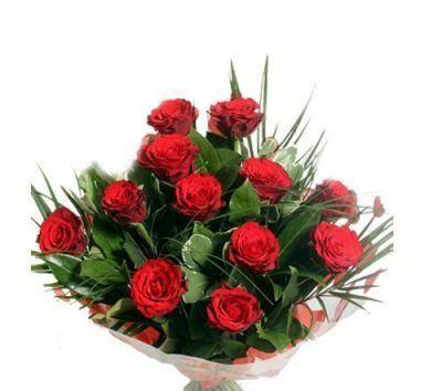 12 Red Roses deal grabone sale Valentines Day Auckland