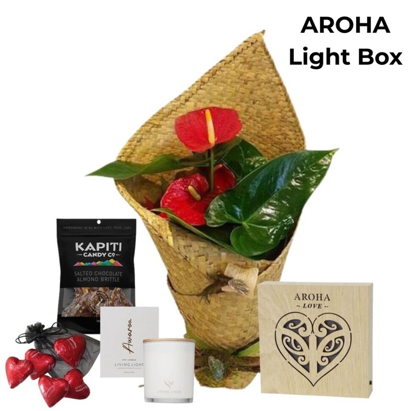Totally Spoilt Whanau Anthurium Plant Gift Box