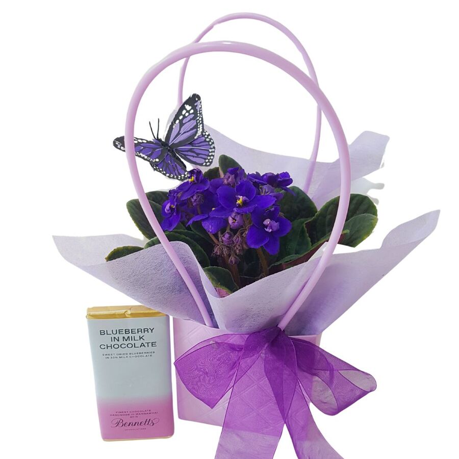 Violets and Chocolates