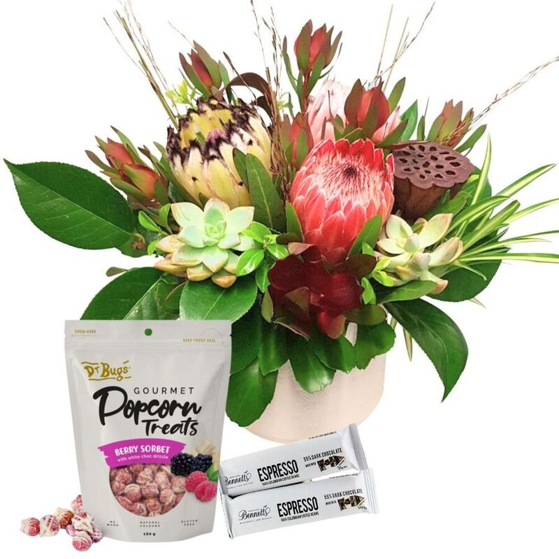 Promotion%20weekly%20special%20deals%20flowers%20Auckland%20NZ, Autumn Protea Treats