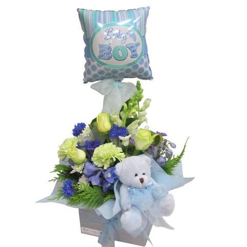 Baby Boy Gift Basket Flowers and Gifts
