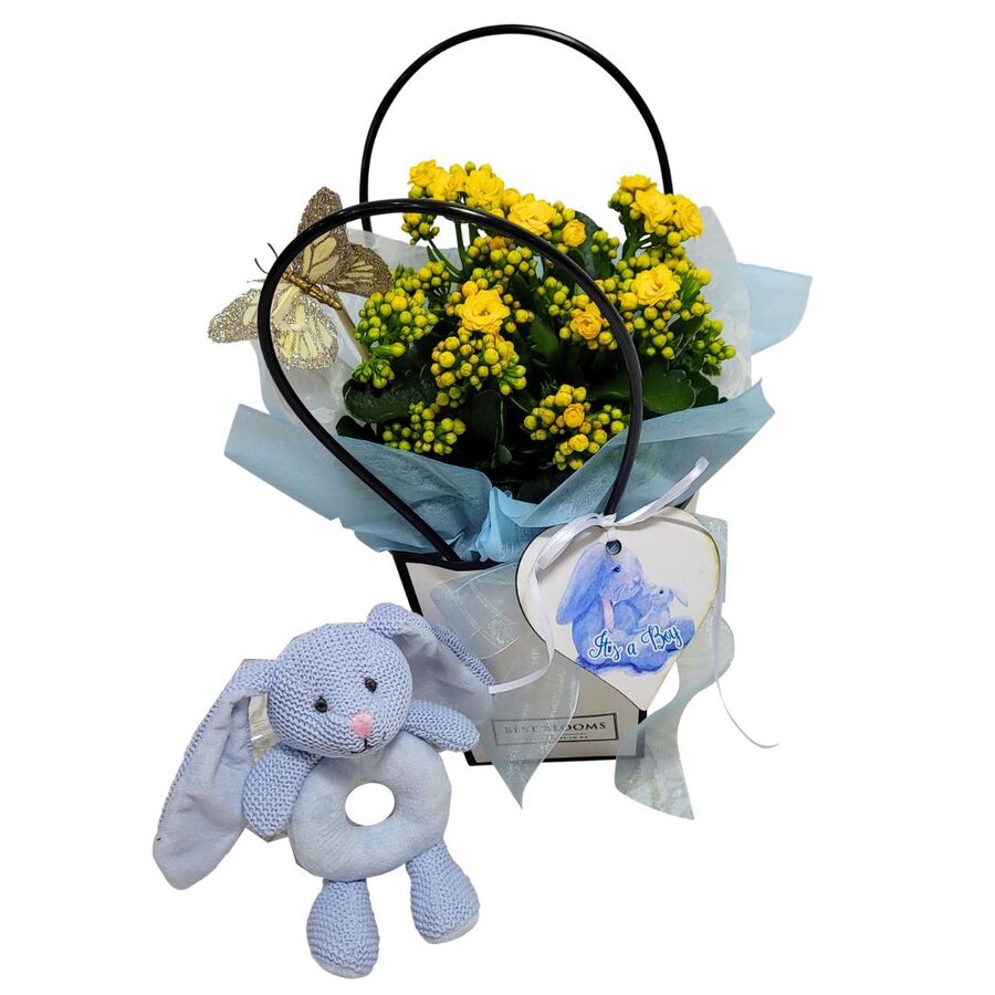 Affordable Plant gift for New Baby with Kalanchoe plant, Bunny Rattle, Keepsake new Baby heart in blue colour for a baby boy. Auckland Deliveries. 